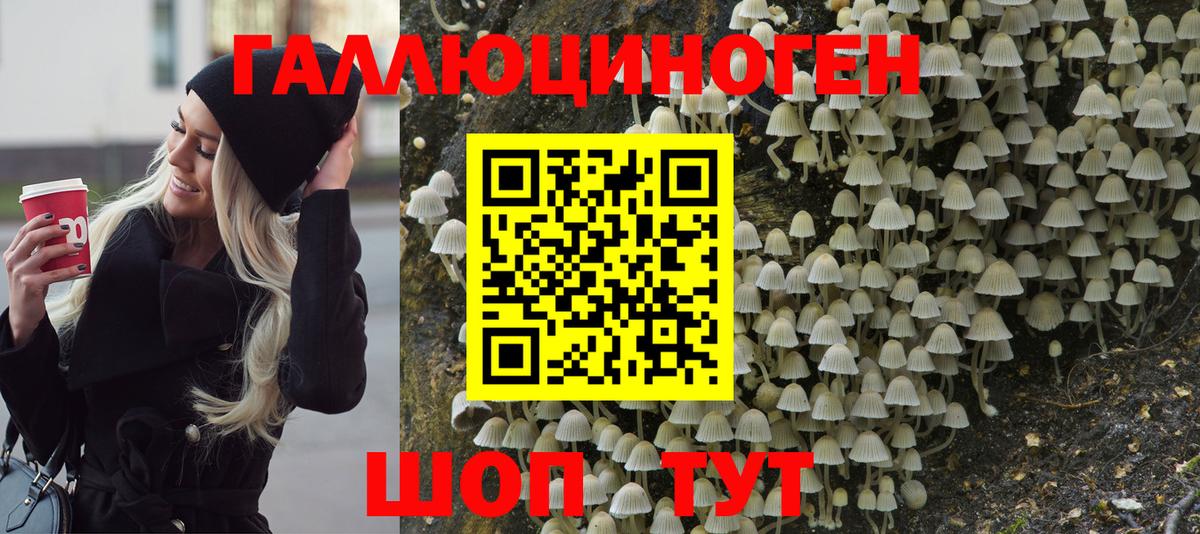Галлюциногенные грибы Psilocybine cubensis Кирово-Чепецк
